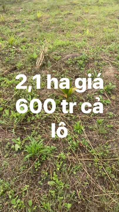 Lô đất nền 2,1ha tại xã Ea Puk, giá 500 triệu - Đầu tư sinh lời ngay!