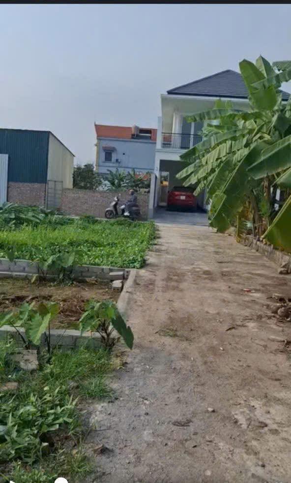 Đất nền Chương Dương, Thường Tín 50.4m² giá chỉ 2.x tỷ - Ô tô vào tận đất!