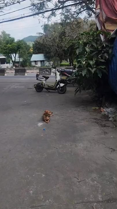 Đất Nền 2 Mặt Tiền Phước Đồng Nha Trang 104m² - Sổ Hồng Sẵn Sàng