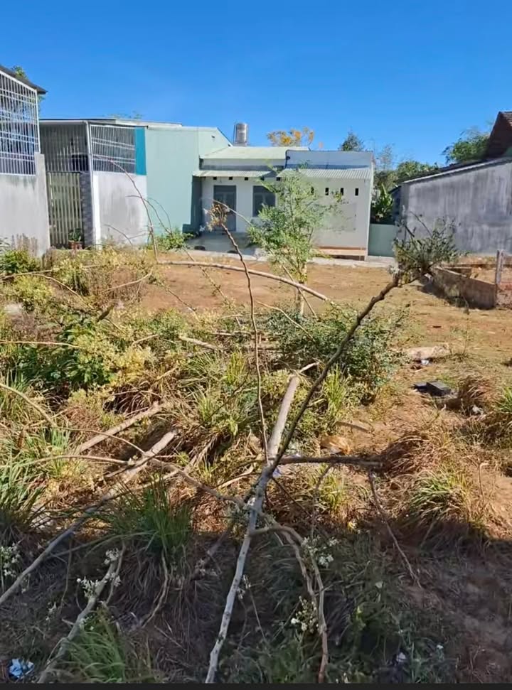 Đất nền tại Lê Thị Hồng Gấm, 210m² chỉ 600 triệu - Cơ hội đầu tư tuyệt vời!