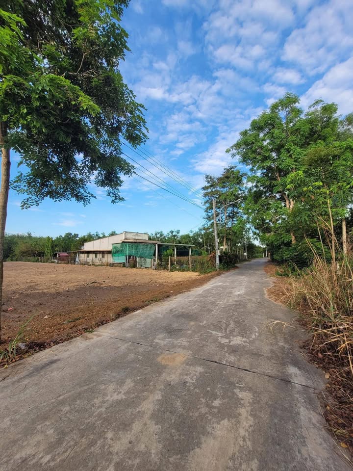 Đất Vườn 2500m² Bàu Bàng - Sẵn Sàng Xây Nhà/Xưởng