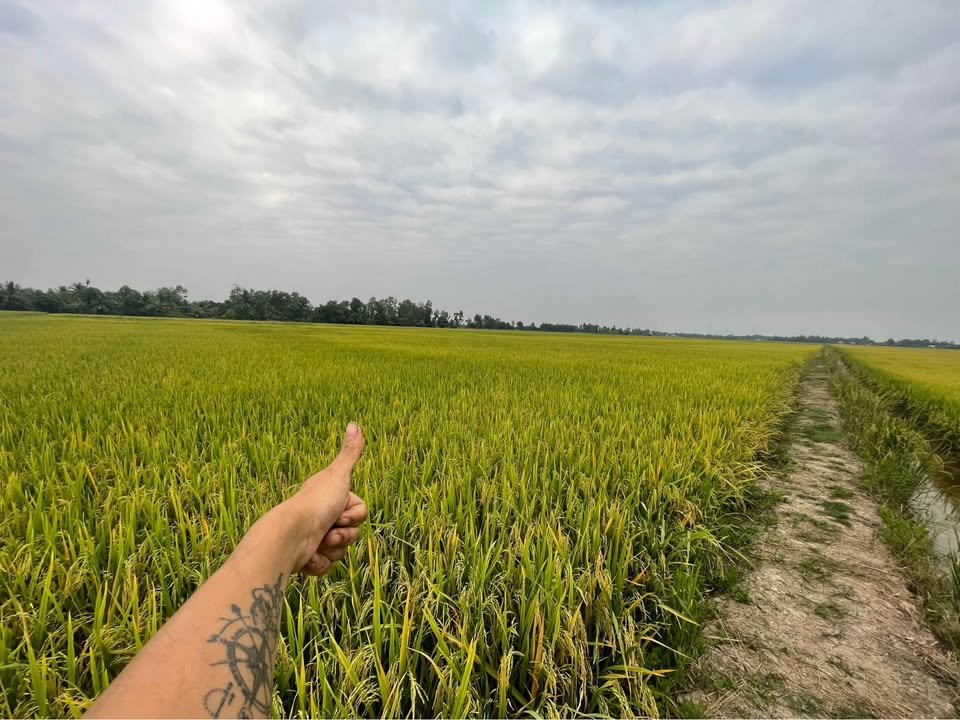 Đất nền mặt tiền đường Nguyễn Thông, Rạch Giá, 320m² - Giá chỉ 1.9 tỷ, cơ hội đầu tư tuyệt vời!