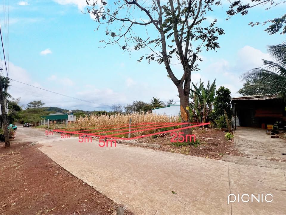 Bán Gấp 4 Lô Đất Thổ Cư 125m² Buôn Ma Thuột - Giá Tốt