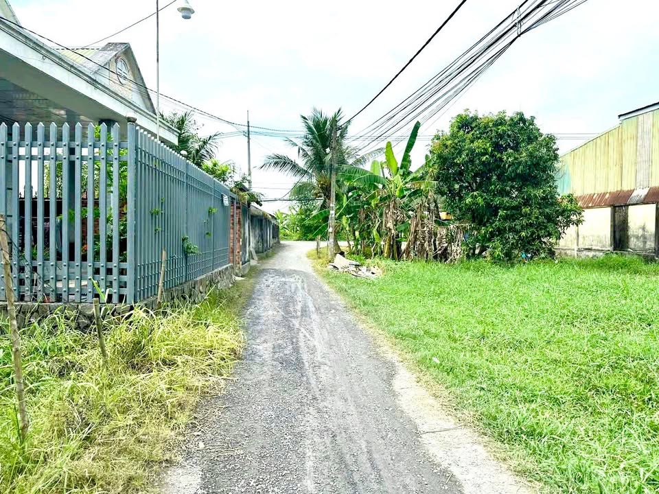 Đất nền thổ cư 200m² Bình Mỹ, Củ Chi - Giá chỉ 3.5 tỷ, thương lượng ngay!