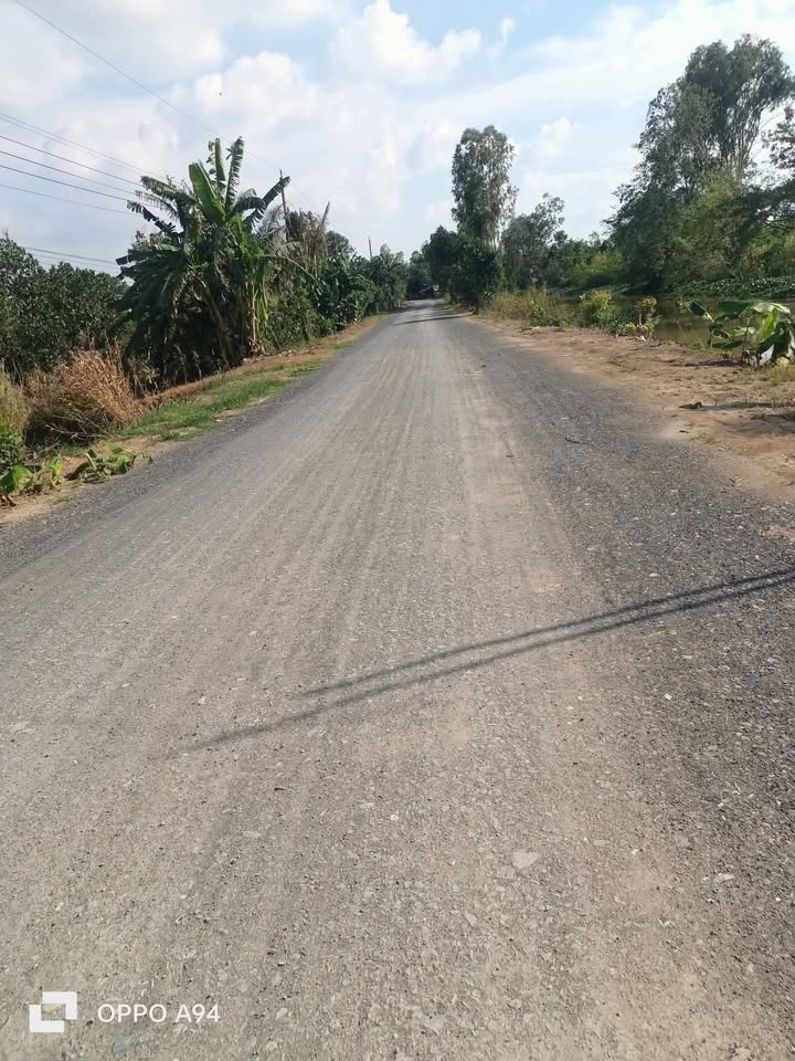 Đất nông nghiệp Hậu Mỹ Bắc A 9000m² giá 4.5 tỷ - Cơ hội đầu tư không thể bỏ lỡ!