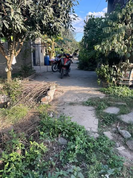 Đất nền Tổ 13, Phường Tân Hạnh, Biên Hòa 100m² giá 245 triệu - Cơ hội đầu tư tuyệt vời!