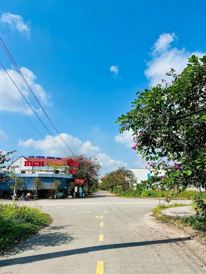 Bán Biệt Thự Nam Đông Hà 234m² Mặt Tiền Tô Hiệu - Giá 2.3 Tỷ