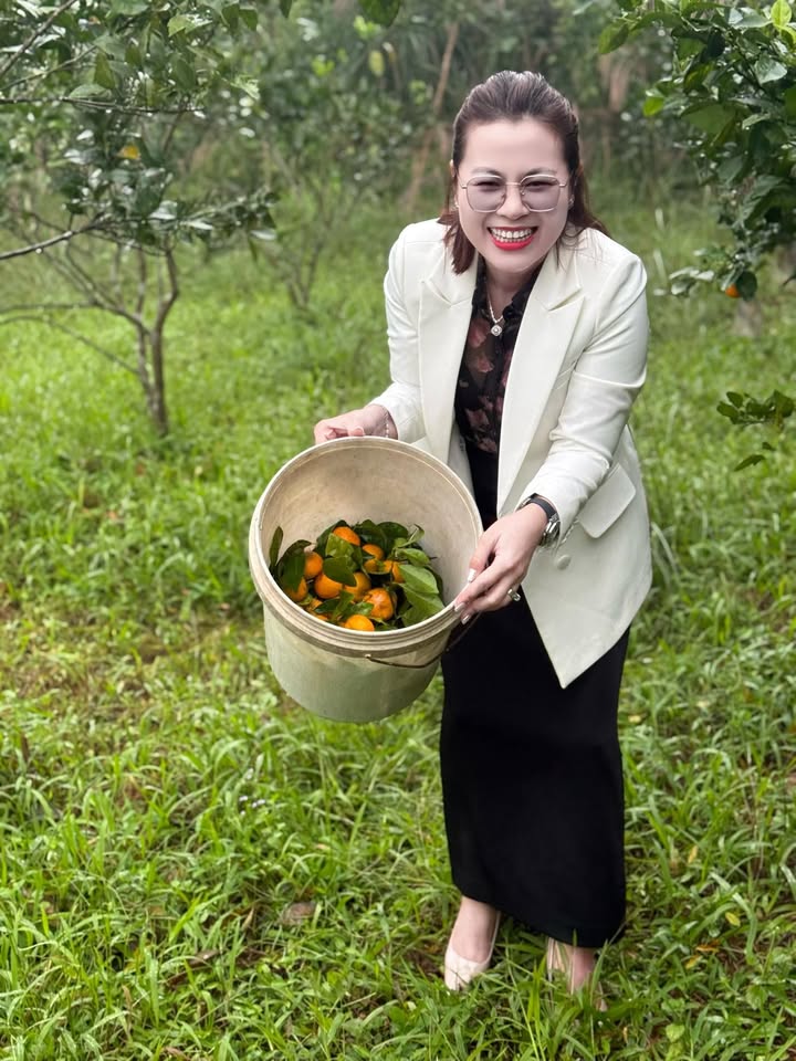 Đất thổ cư Hương Trà, 168m² giá 600 triệu - Cơ hội đầu tư tuyệt vời!