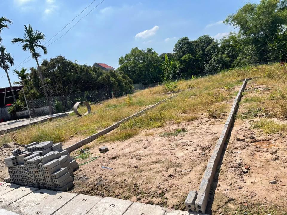 Đất nền Xã Nguyên Hòa 100m² giá thỏa thuận - Tiềm năng phát triển vượt trội!