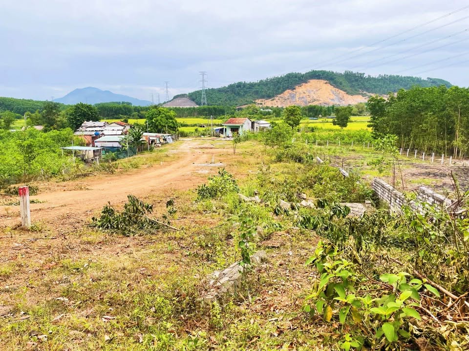 Đất Nền Mặt Tiền Đường Nhựa 7.5m Xã Hòa Phú 144m² - Đầu Tư Hoàn Hảo!