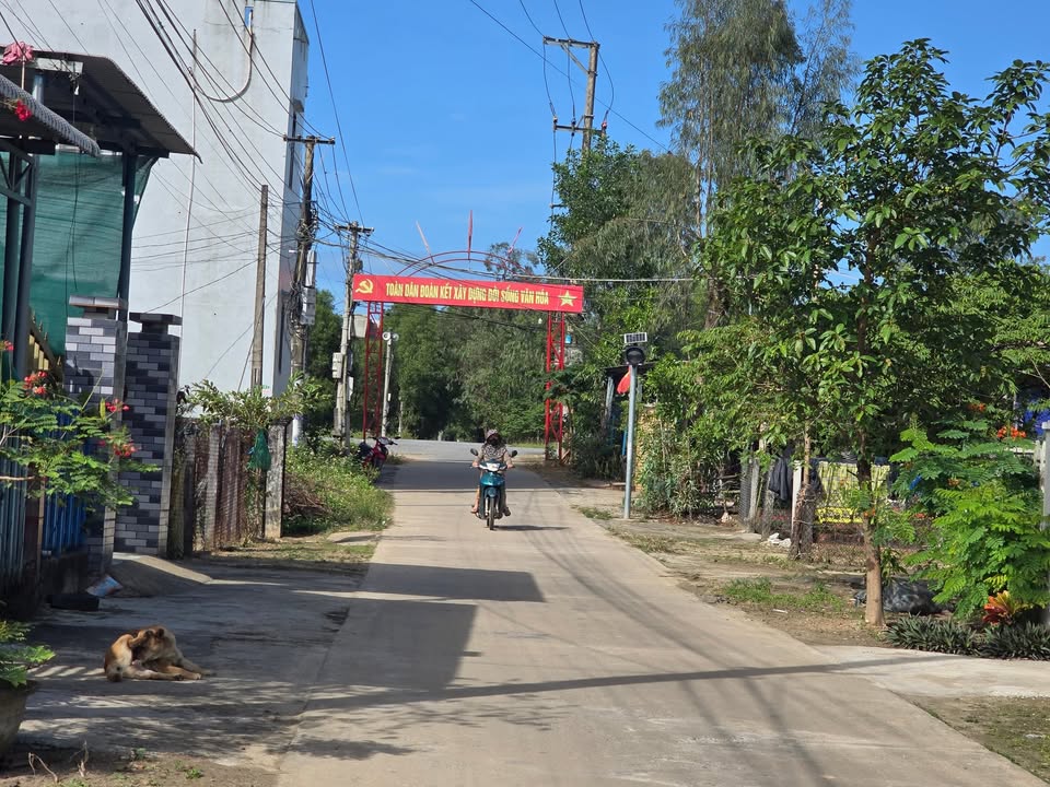 Đất nền xã Bình Chánh, huyện Bình Sơn, 170m² giá chỉ 800 triệu - Cơ hội đầu tư tuyệt vời!