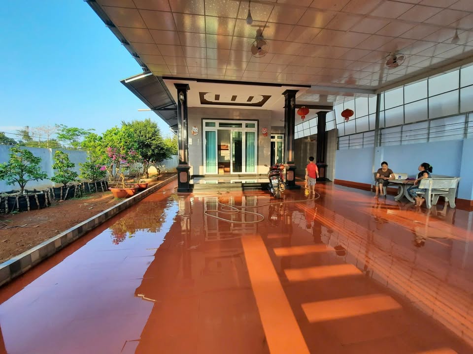 Nhà vườn tại Thị trấn Long Giao 278m² - Đầu tư sinh lời ngay!