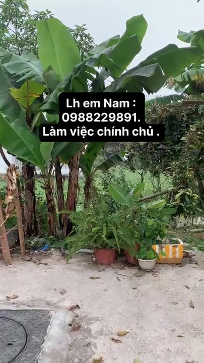Đất nền đẹp tại Ngõ 167, Tiền Đồng, Hoa Lư, 92.5m² giá 6 tỷ - Đầu tư sinh lời tốt!