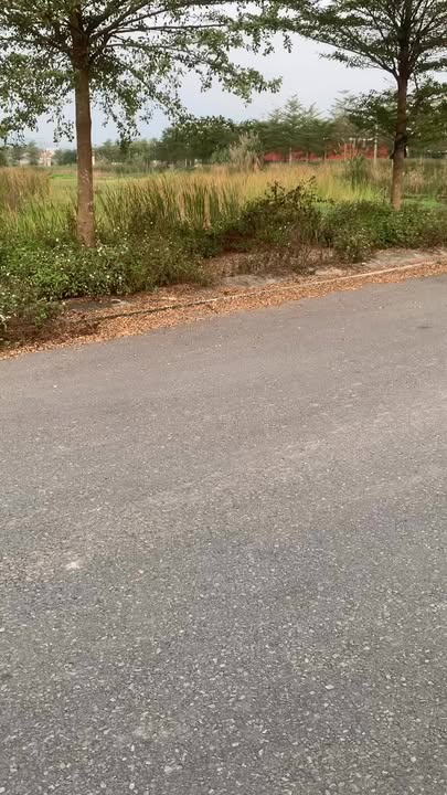 Đất nền Kim Bảng 220.5m² giá 2 tỷ - Đầu tư sinh lời ngay!