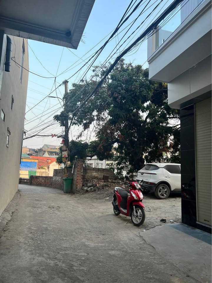 Đất nền Phường Hà Lầm, Hạ Long 71m² giá 1.3 tỷ - Kinh doanh ngay tại nhà!