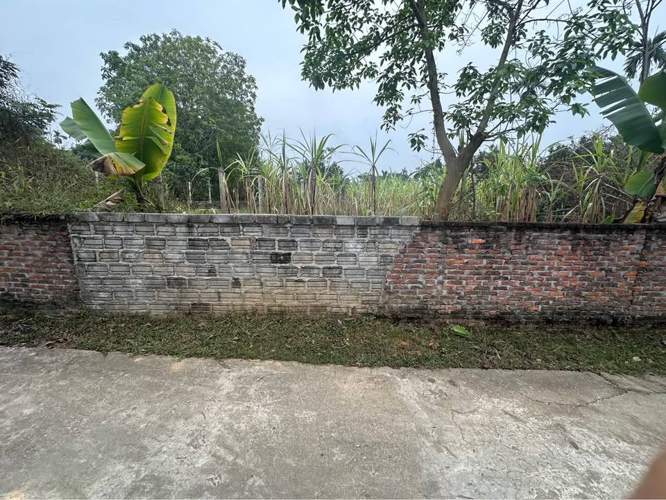 Đất nền 279m² TDP số 6, Phường An Tường, Giá chỉ 1 tỷ - Cơ hội đầu tư tuyệt vời!