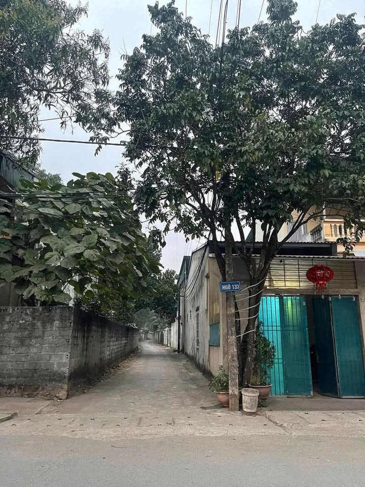 Đất thổ cư 125m² tại Ngõ 133 Sơn Hà, Xã Ngọc Đường - Gần uỷ ban, giá tốt!
