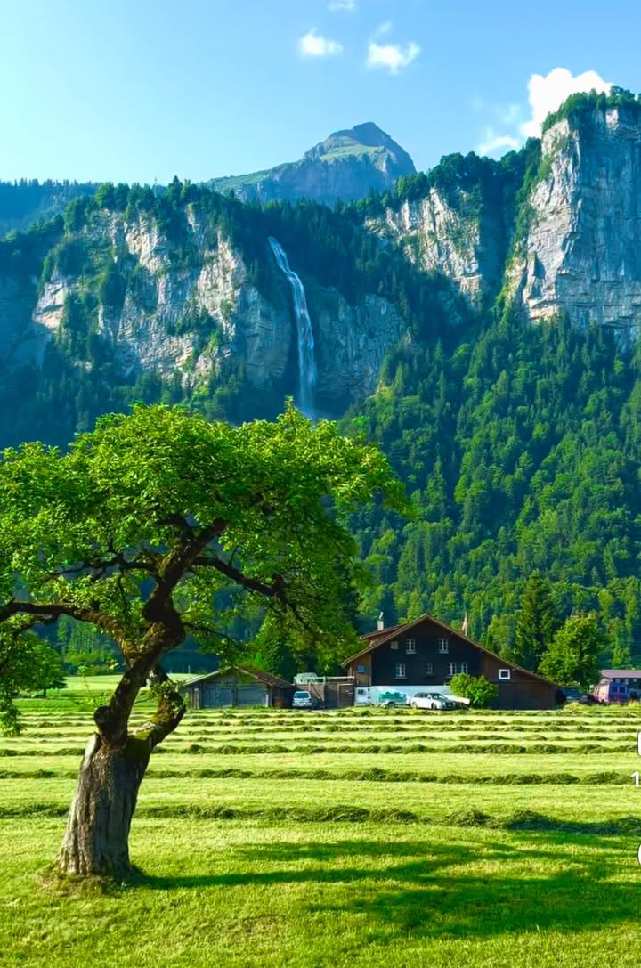 Đất Farm 5000m² tại Hòa Ninh, Đà Nẵng - Cơ hội đầu tư hấp dẫn!