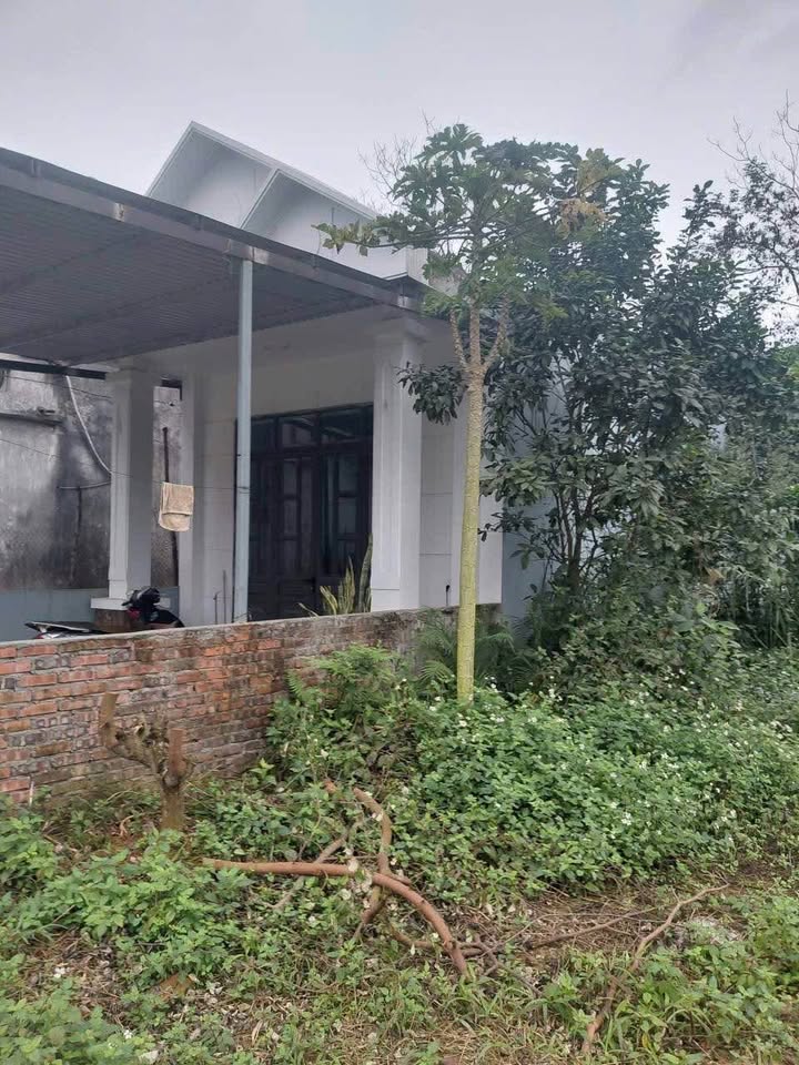 Nhà riêng Phường An Tường 105m² giá 1 tỷ - Cần thanh khoản gấp!