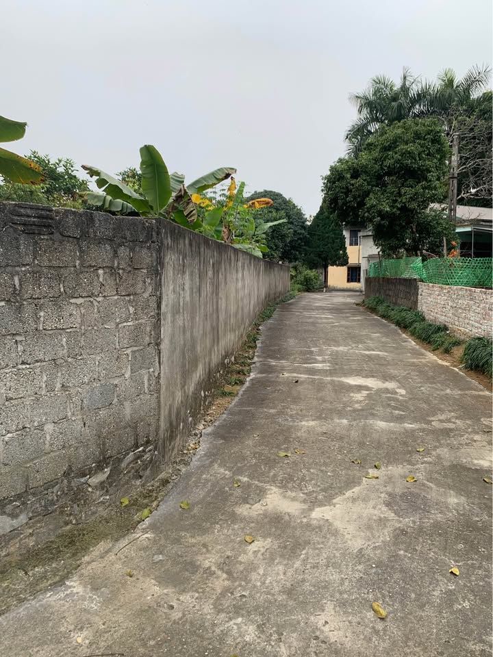 Đất nền tại Tuyên Quang 360m² giá 1.6 tỷ - Đường ô tô vào tận nơi!