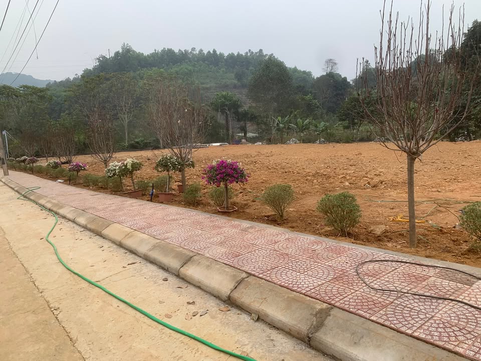 Đất thổ cư 150m² tại tổ 12, Phường Đội Cấn, giá 1 tỷ - Đầu tư sinh lời!