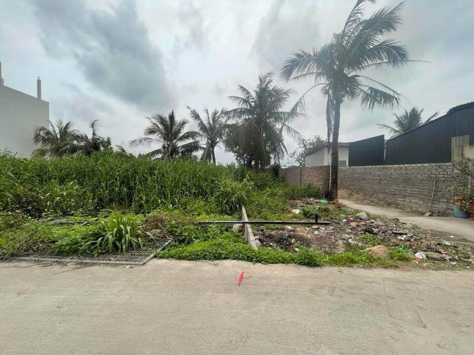 Đất nền chính chủ tại Đông Phong, Minh Đức, 79.3m² - Giá chỉ 1.5 tỷ!