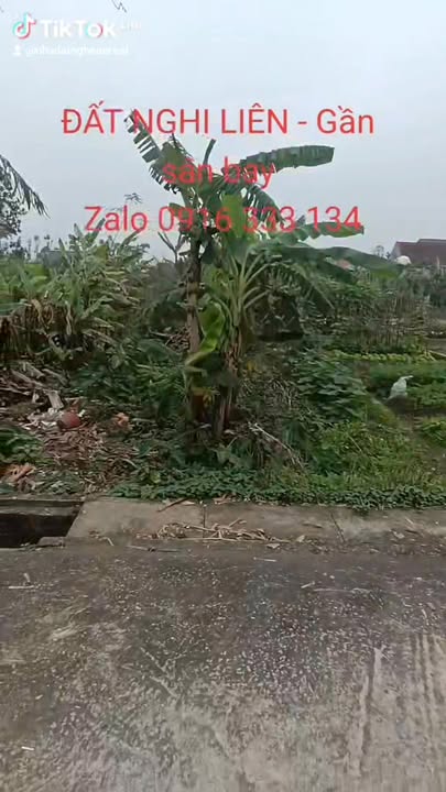 Đất nền đẹp tại xã Nam Cát, huyện Nam Đàn, 87.6m² giá chỉ 2 tỷ - Đầu tư sinh lời ngay!