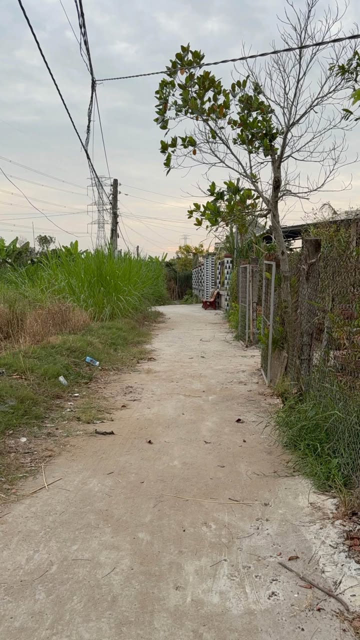 Đất thổ cư Phường 1, Thị xã Cai Lậy 99m² giá 650 triệu - Vị trí đẹp, tiện ích đầy đủ!