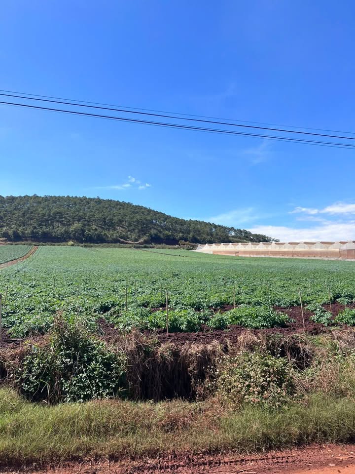 Đất thổ cư Đơn Dương 4.000m² giá 40 tỷ - Cơ hội đầu tư chiến lược!