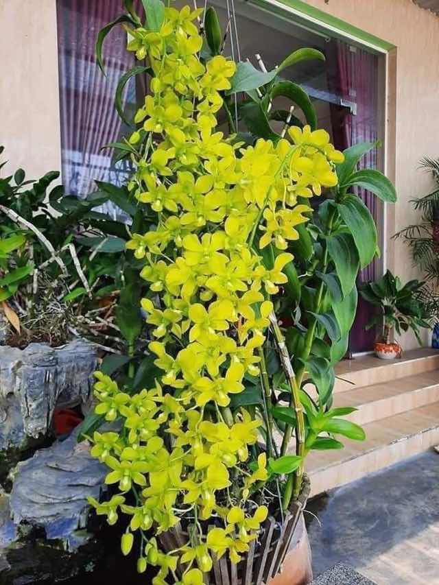 Đất nền Phú Quốc 300m² giá 3 tỷ - Đầu tư sinh lời ngay!