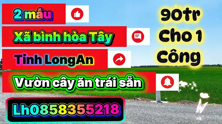 Đất vườn 20,000m² tại Bình Hòa Tây, Mộc Hóa - Giá chỉ 180 triệu VND