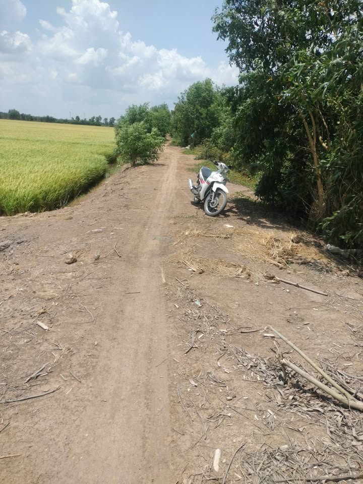 Đất thổ cư 6494m² mặt tiền kênh tại Thủ Thừa, Long An - Giá chỉ 1.948 tỷ!