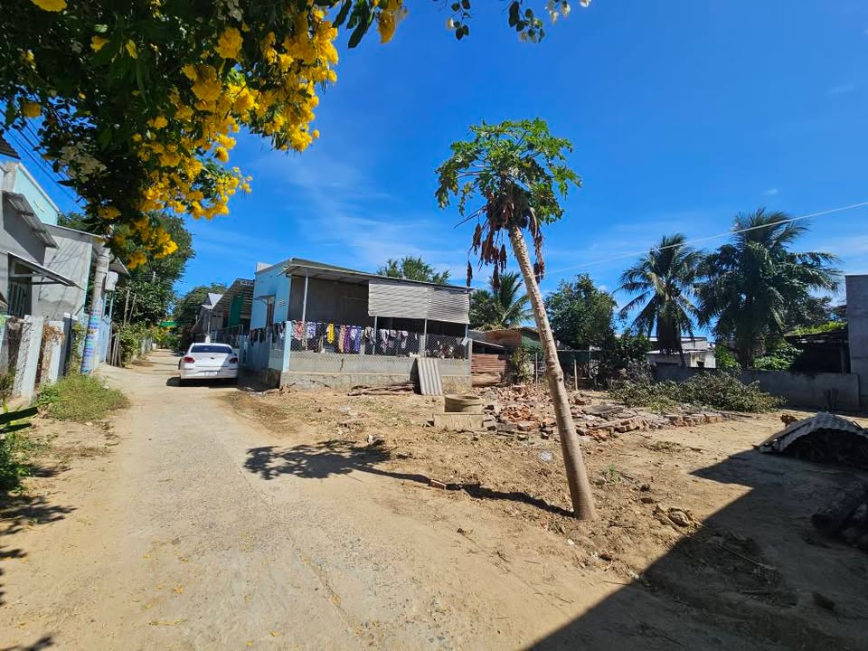 Đất thổ cư đường ô tô Thị trấn Phước Dân 118,5m² giá chỉ 420 triệu!