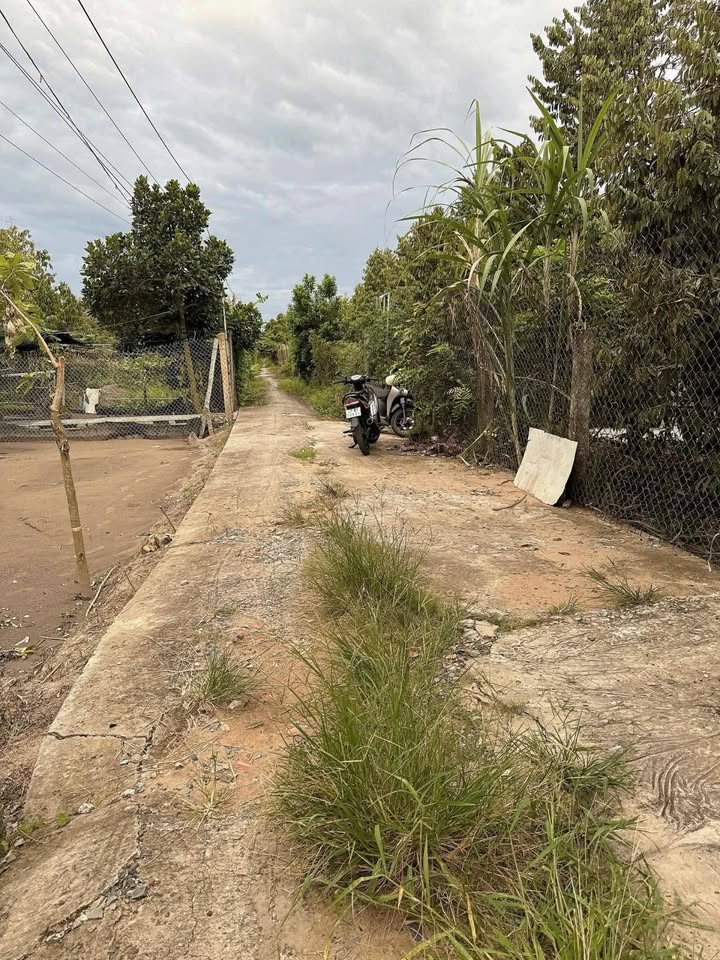 Đất nền mặt tiền đường Hoa Lâm, Tân Bình 442m² giá 832 triệu - Cơ hội đầu tư tuyệt vời!