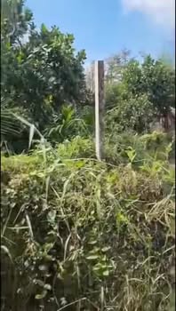 Đất nền 1041m² tại ấp Phú Thuận, Cai Lậy chỉ 1.1 tỷ - Cơ hội đầu tư hấp dẫn!