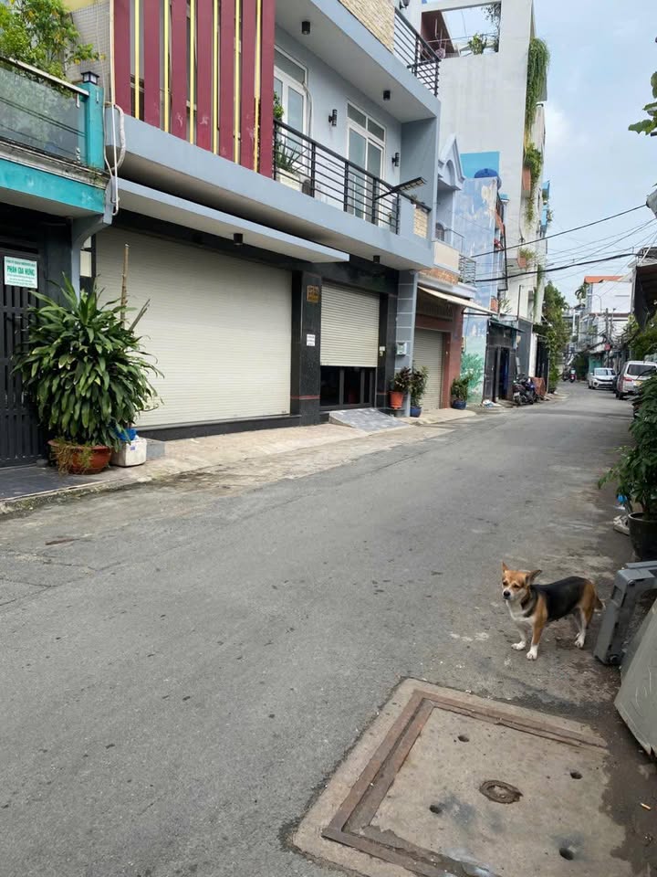 Nhà hẻm kinh doanh Nguyễn Văn Săng, Tân Sơn Nhì 62m² giá 8.7 tỷ - Sẵn sàng đầu tư!