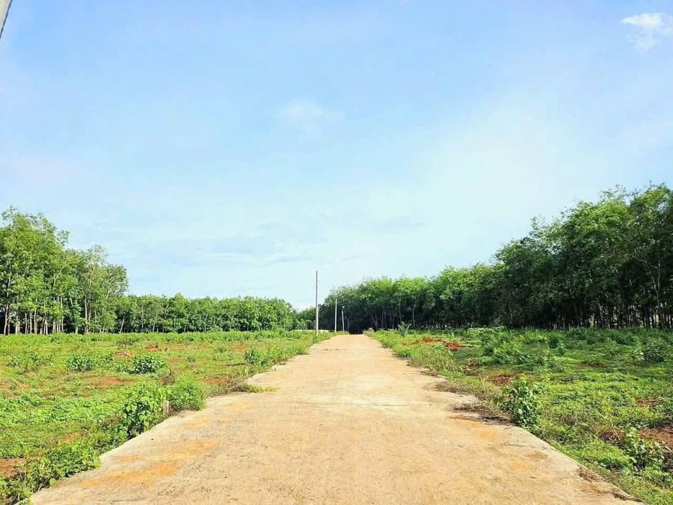 Đất nền 150m² tại Ấp K54, Lộc An, Lộc Ninh chỉ 110 triệu - Cơ hội đầu tư tuyệt vời!