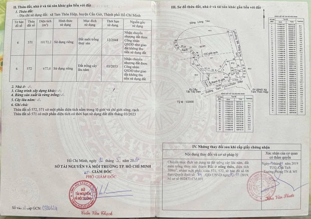 Bán Gấp 11.000m² Đất Vườn Cần Giờ - Tiềm Năng Đầu Tư Vượt Trội