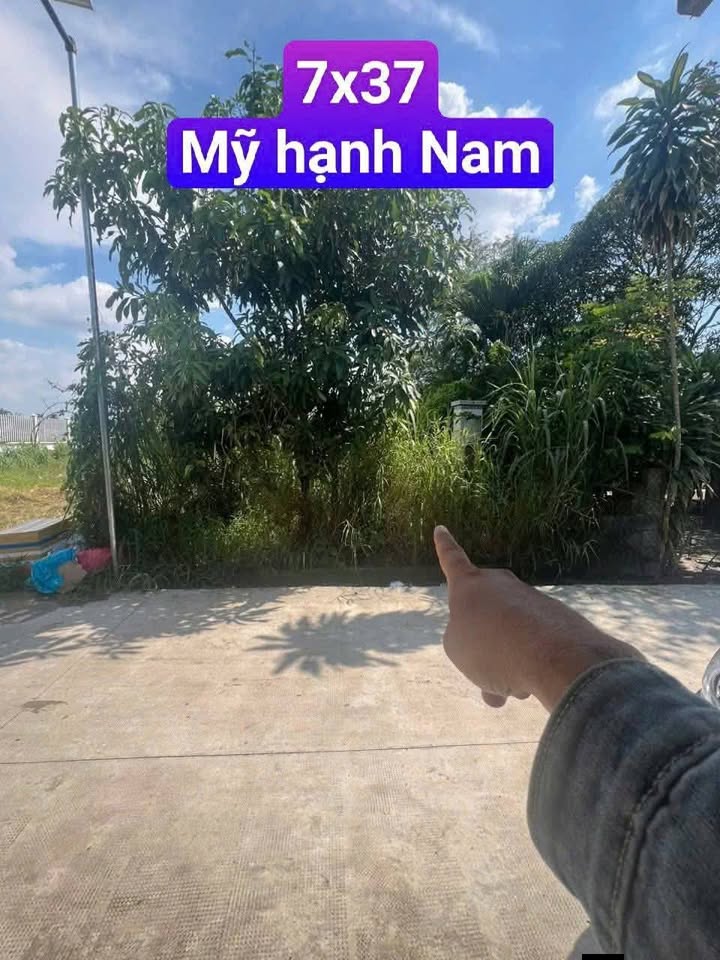 Đất nền đẹp Mỹ Hạnh Nam 259m² giá 1.55 tỷ - Đầu tư sinh lời ngay!