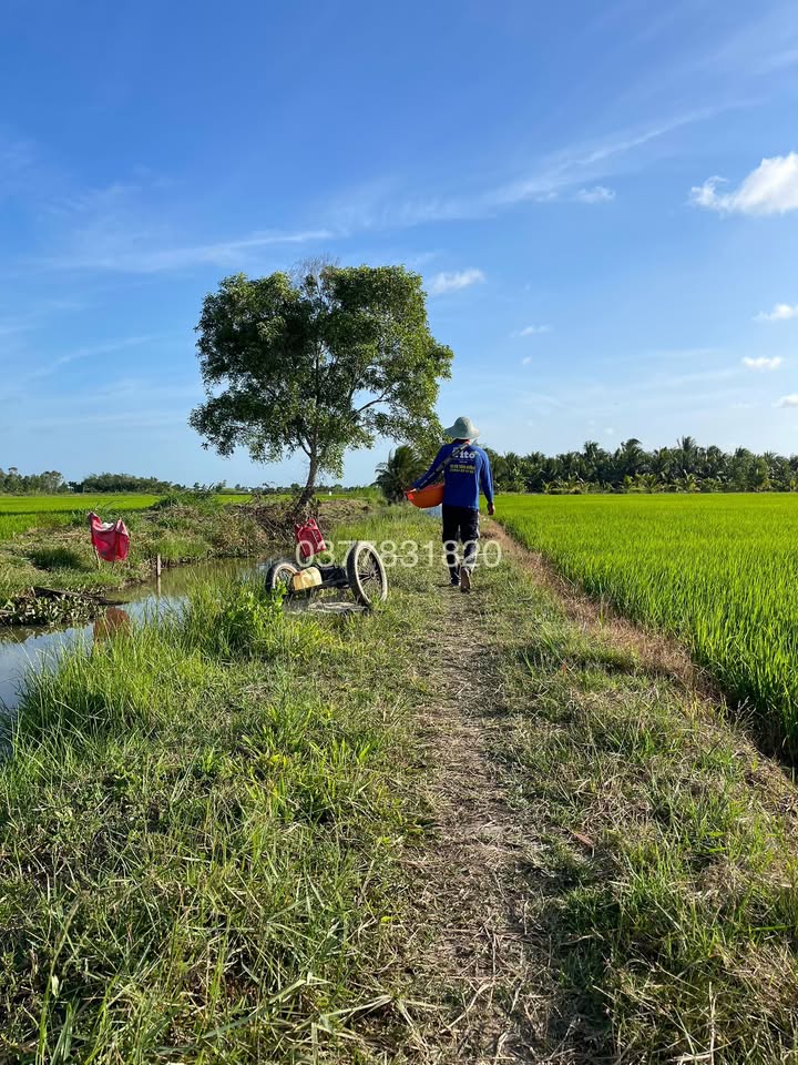 Đất nền mặt tiền bờ kênh Lương Hoà A 3290m² giá 600 triệu - Cơ hội đầu tư hấp dẫn!