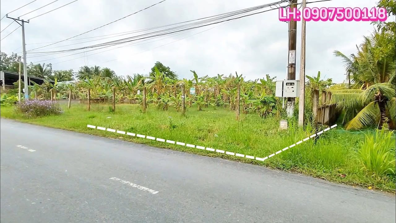 Đất thổ cư mặt tiền TL911, ấp Phú Lân, 1740m² giá chỉ 3.5 tỷ - Đầu tư sinh lời ngay!