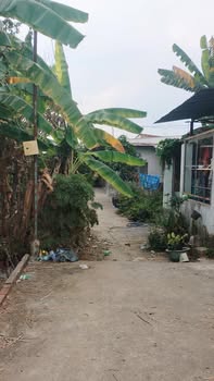 Đất Hóc Môn 131m² Sổ Hồng - Giá 1.3 Tỷ Chốt Lộc