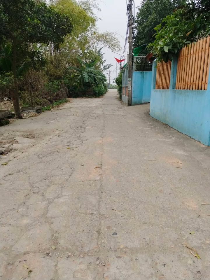 Đất nền Khu phố Lựa - Phường Quế Võ - 85m² giá 1 tỷ - Đầu tư lý tưởng!