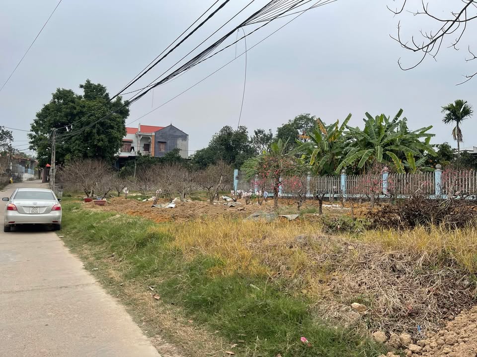 Đất nền thôn Ngọc Tân, Quế Võ 204m² giá 800 triệu - Cơ hội đầu tư hấp dẫn!