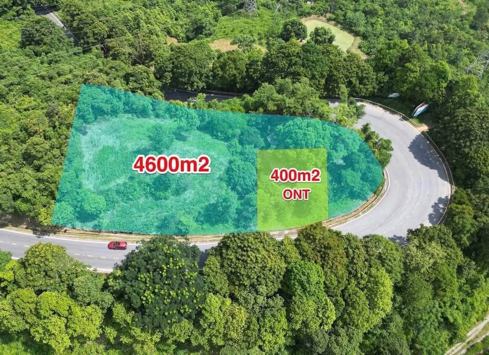 Đất Farm 5000m² tại Xã Cốc San, Thành phố Lào Cai - Đầu tư sinh lời cao!