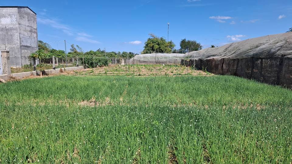 Đất CLN Bình Quý 869m² giá 680 triệu - Đầu tư sinh lời ngay!