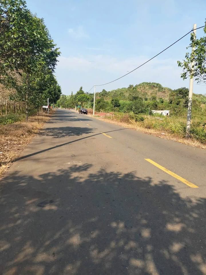 Đất nền Bàu Chinh, Châu Đức, 245m² giá 899 triệu - Sổ đỏ chính chủ!