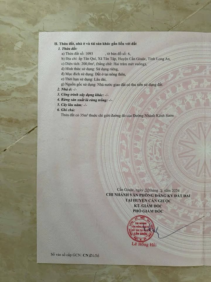 Đất thổ cư 200m² tại ấp Tân Quý, Cần Giuộc, giá 1.1 tỷ - Vùng đất tiềm năng phát triển!