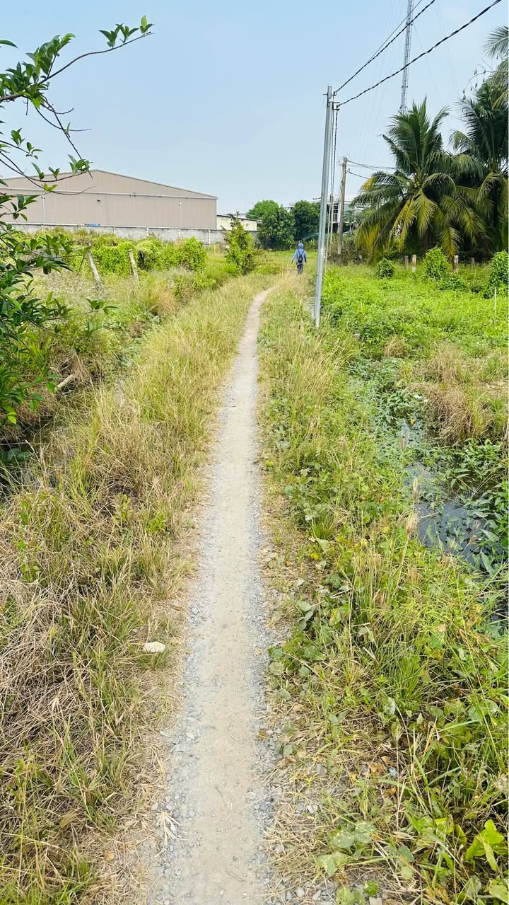 Đất thổ cư Phường Khánh Hậu 1000m² giá chỉ 450 triệu - Đầu tư sinh lời ngay!