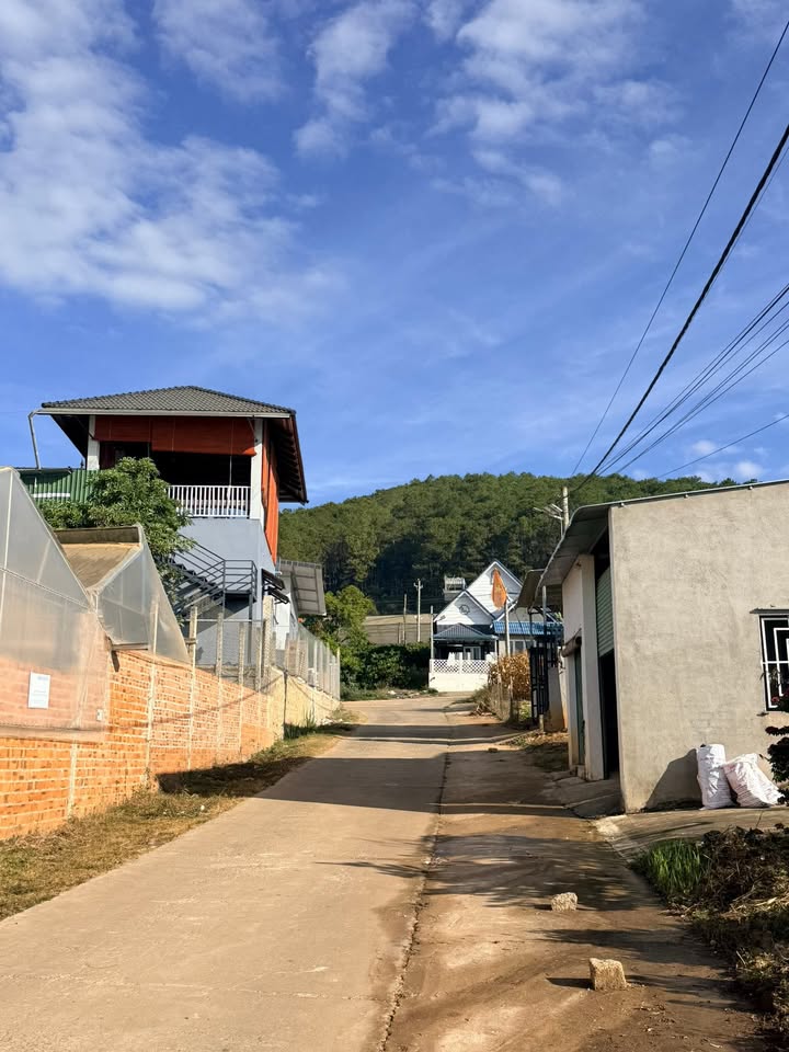 Đất Nền Nam Ban Lâm Đồng 202m² - Sổ Riêng, Gần Đà Lạt